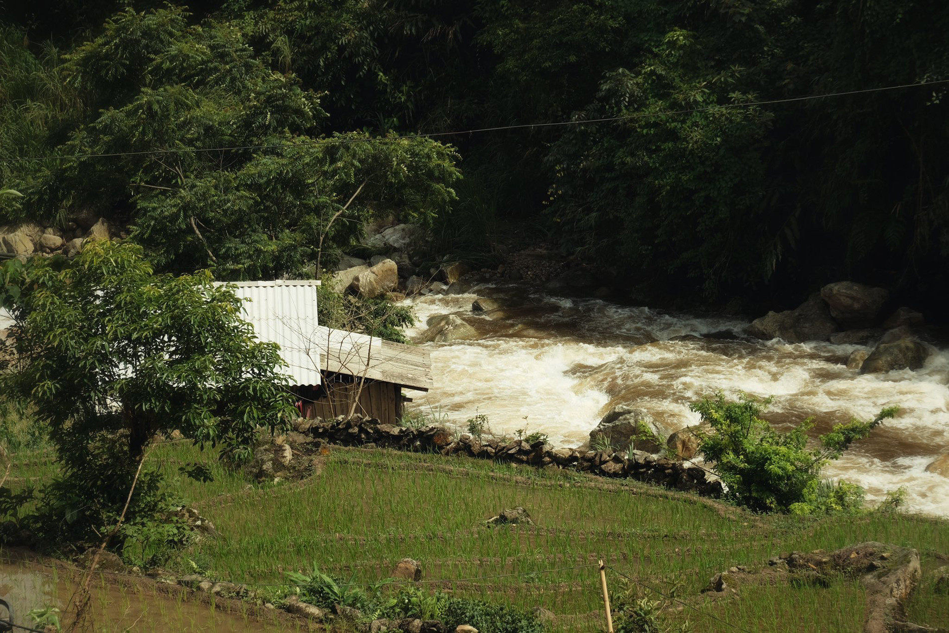 vietnam highland.jpg3.jpg