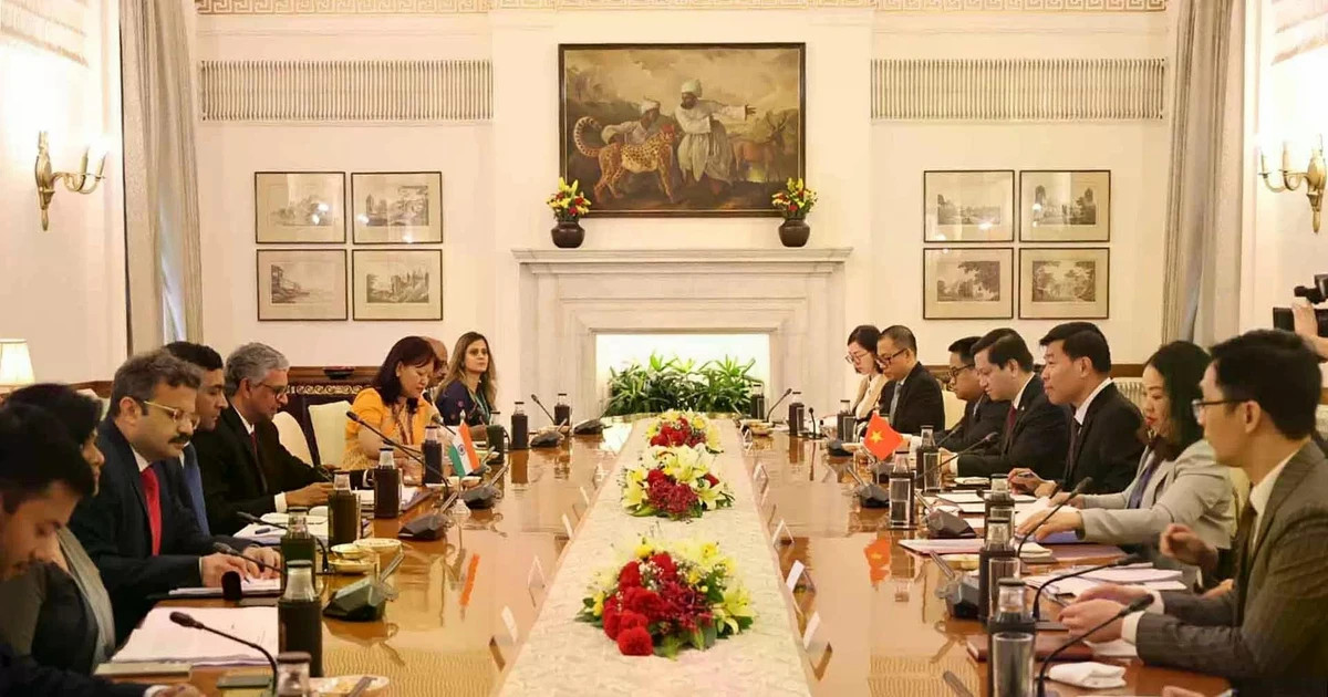 Vietnam, India hold political consultation, strategic dialogue