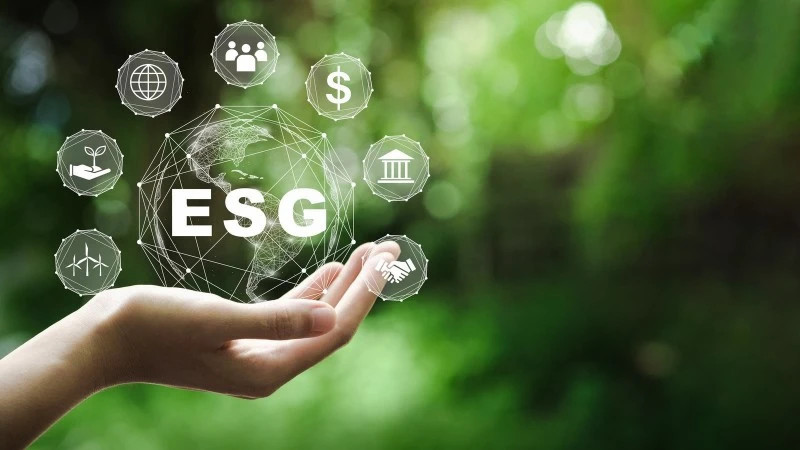 Vietnam’s green transition: Overcoming hurdles to achieve Net Zero