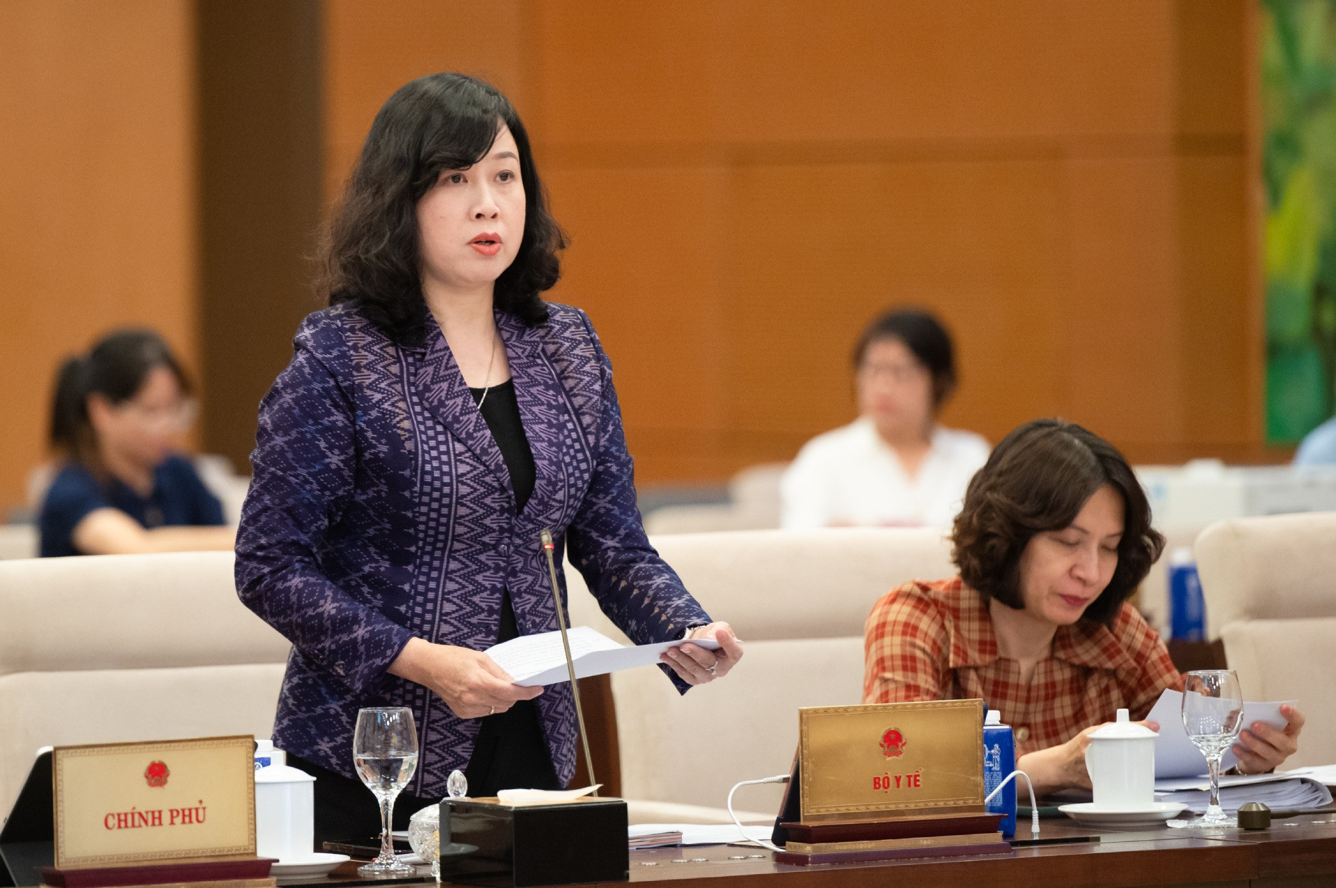 Z61_3779 Bộ trưởng Bộ Y tế Đào Hồng Lan (1).jpg