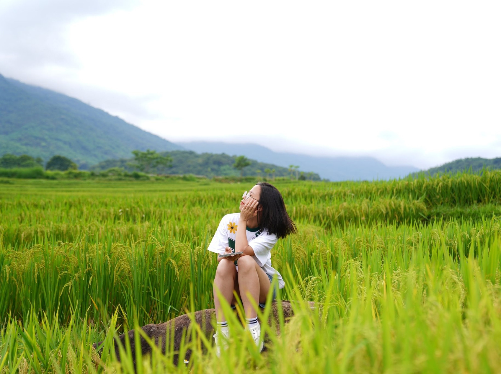 vietnam pagoda12.jpg
