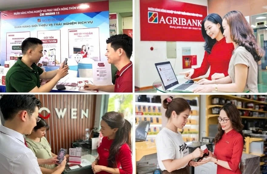 Green finance fuels Vietnam’s agricultural transformation