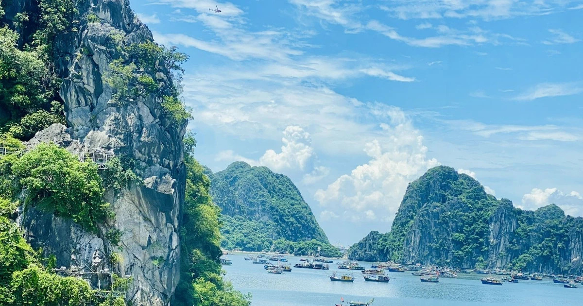 Holidaymakers seek for green, cultural tours in this summer