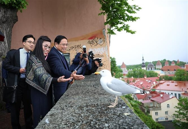 PM Pham Minh Chinh and his spouse in Tallinn Old Town (Photo: VNA)