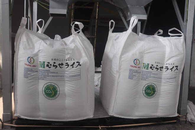 vna-potal-xuat-khau-lo-gao-viet-xanh-phat-thai-thap-dau-tien-sang-nhat-ban-8075169.jpg