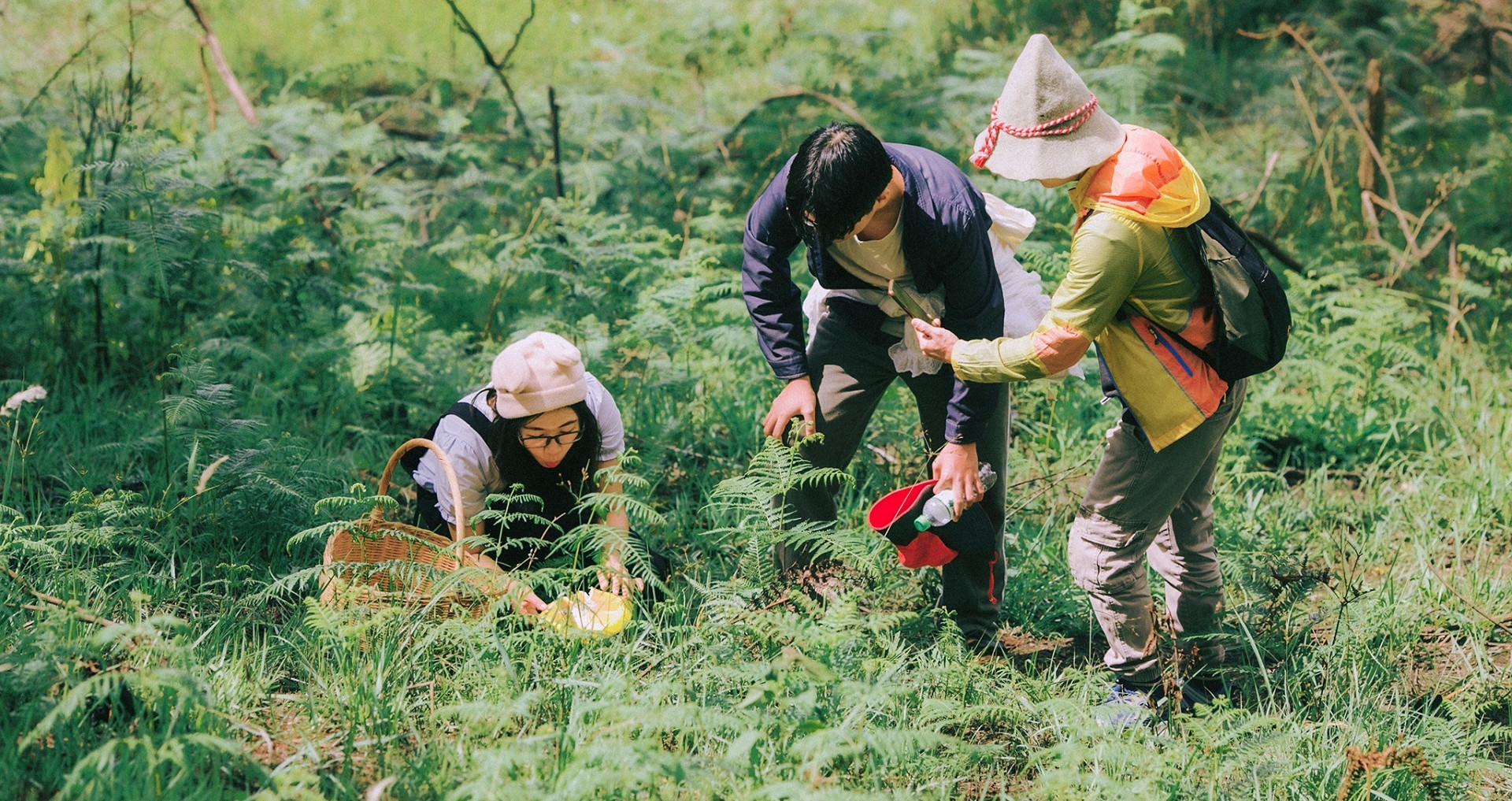 Rare mushroom delicacy draws tourists to Dalat's forests in rainy season