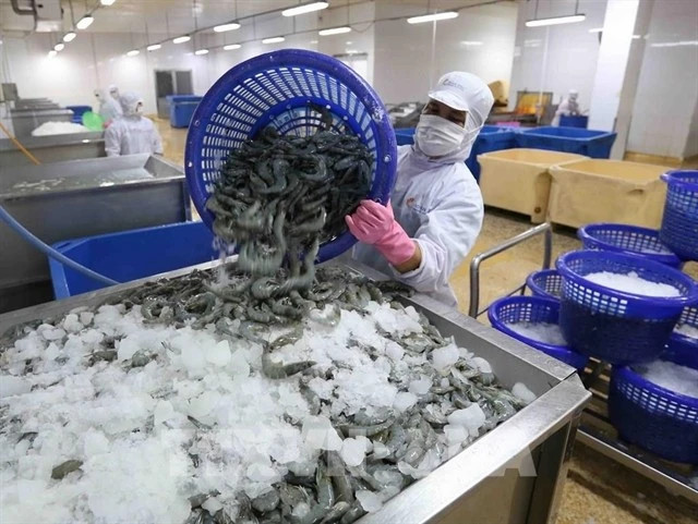 US issues preliminary decision on anti-dumping tariffs for Vietnamese shrimp