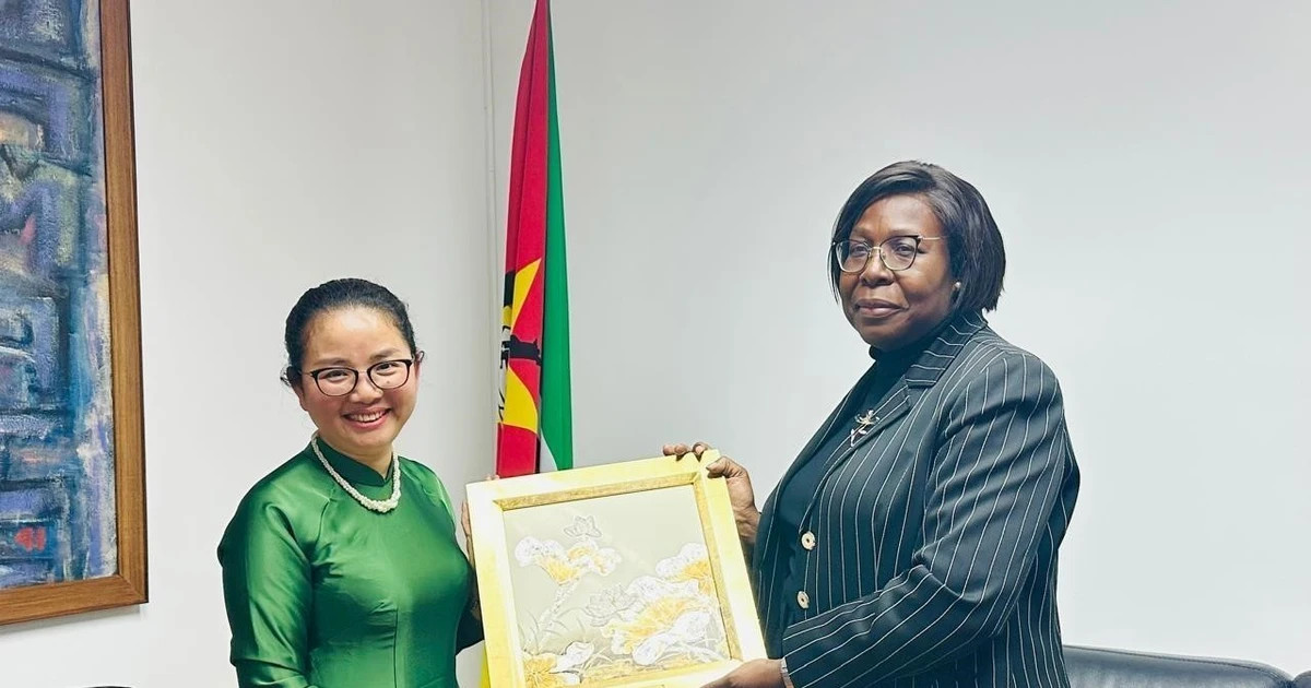 Mozambican PM pledges to promote comprehensive cooperation with Vietnam