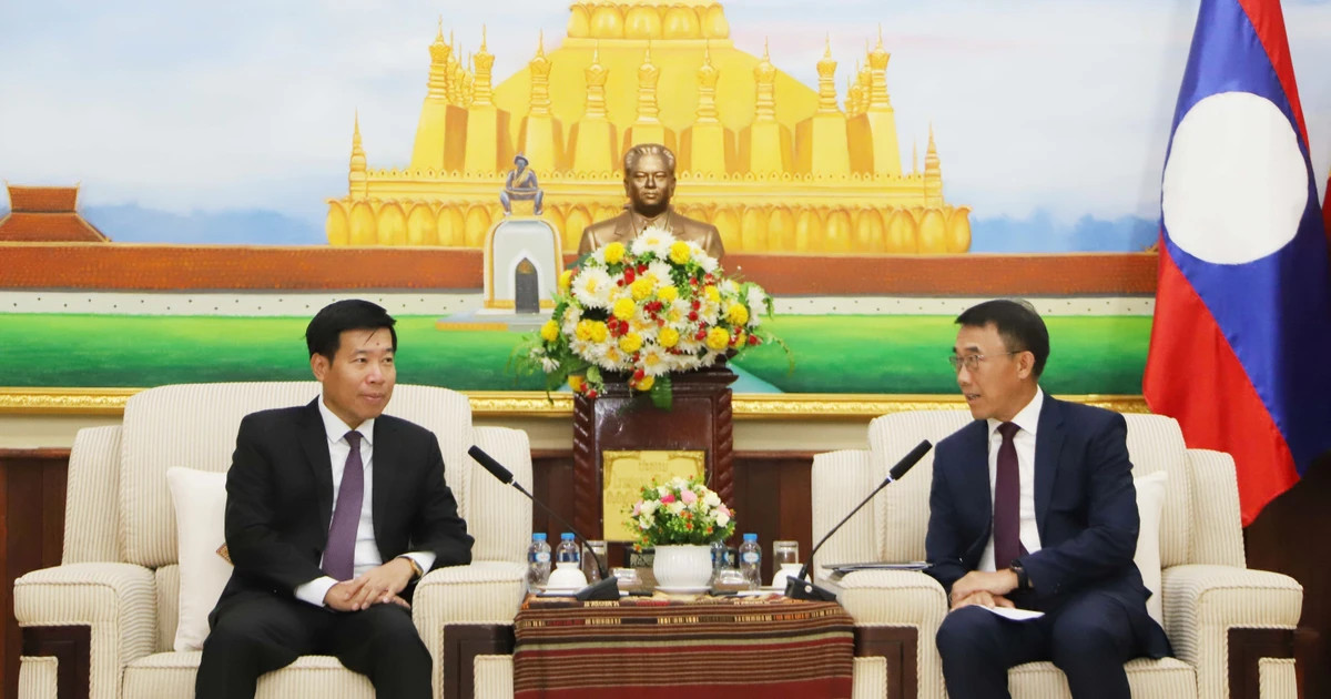 Vietnam, Laos hold 10th political consultation