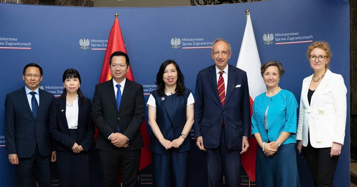 Vietnam, Poland hold deputy-ministerial political consultation