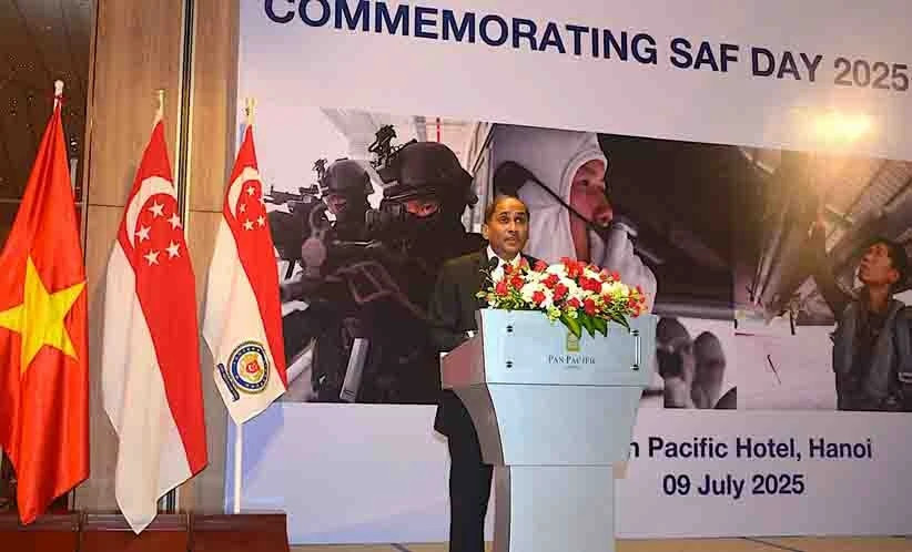 Vietnam, Singapore defence cooperation develops substantively, effectively