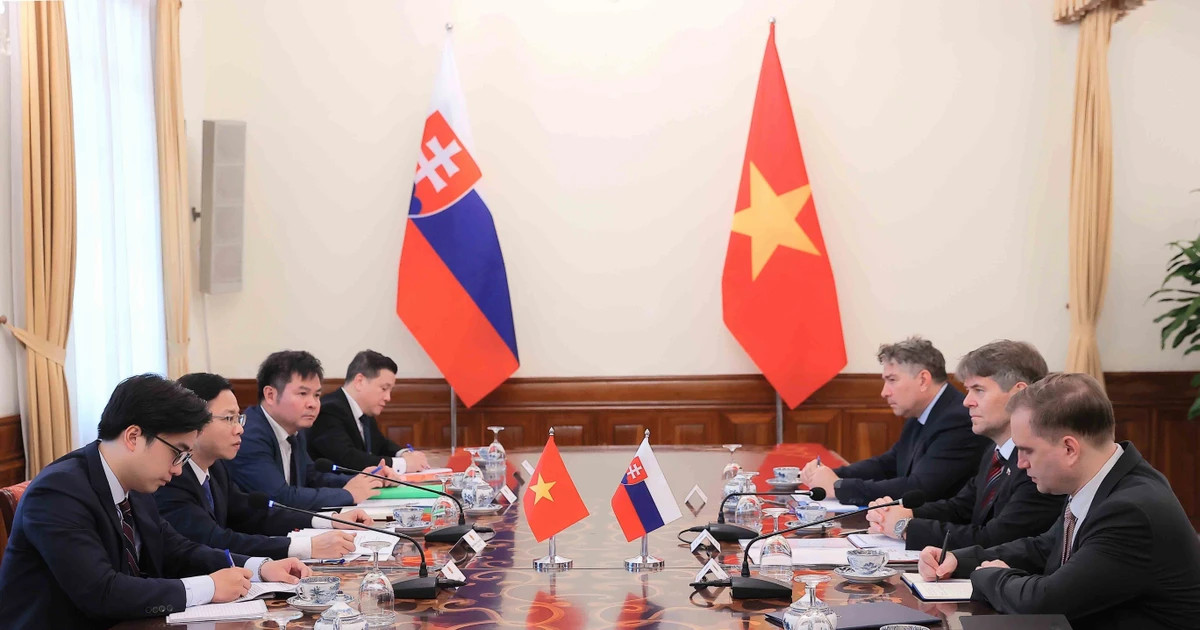 Vietnam, Slovakia hold political consultation