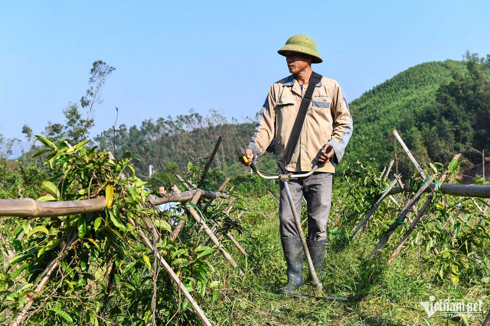 W-DTTG   1719   Bac Giang (55).jpg