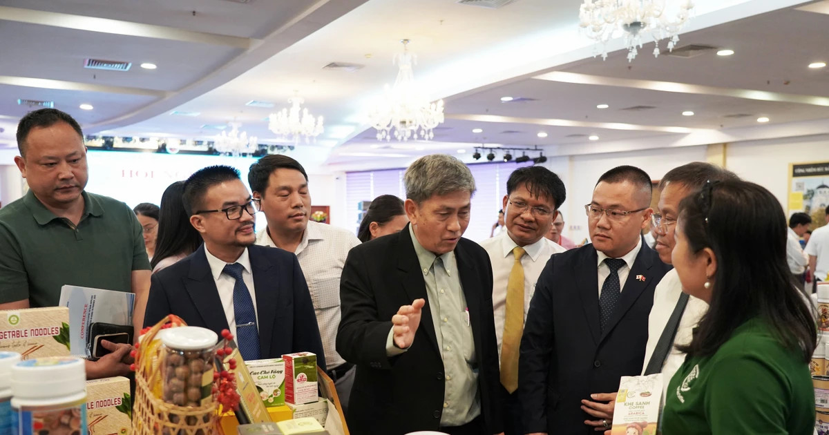 Quang Tri fosters trade ties between domestic and int’l businesses