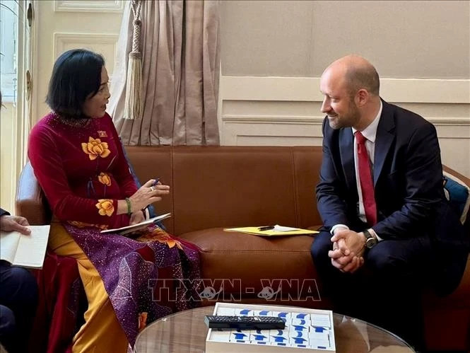 Vietnam eyes deeper comprehensive strategic partnership with France