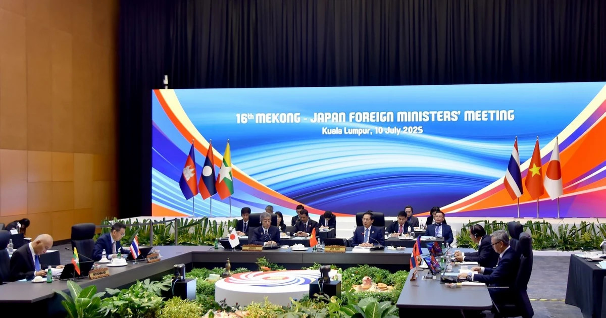Vietnam pushes for new approaches in Mekong – Japan partnership