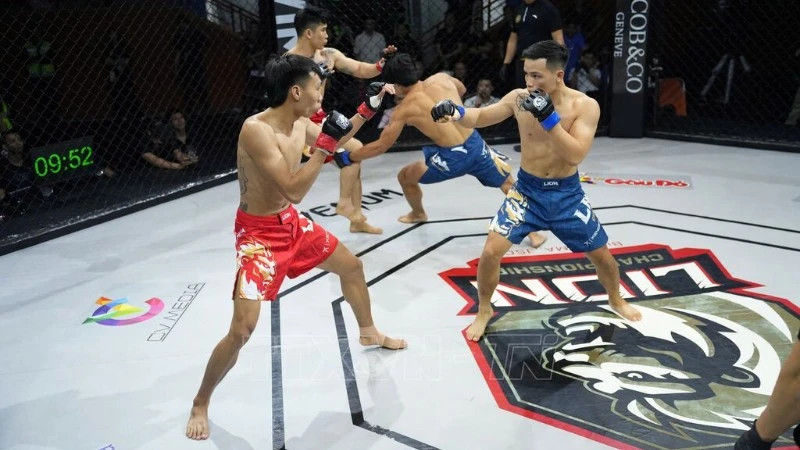 Vietnam’s top MMA fighters face international challengers at LION 24