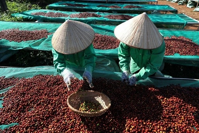 2025 coffee exports hit target, set for record 7.5 billion USD
