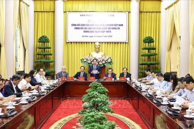 vna-potal-cong-bo-lenh-cua-chu-tich-nuoc-ve-9-luat-vua-duoc-quoc-hoi-thong-qua-stand-1.jpg