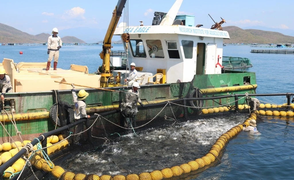 Vietnam pivots to green aquaculture to draw global seafood buyers