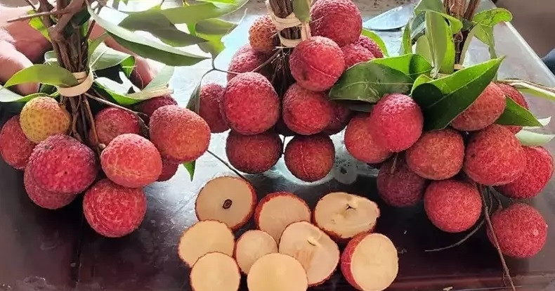 Do Lychees Need to Be Refrigerated: Essential Storage Tips