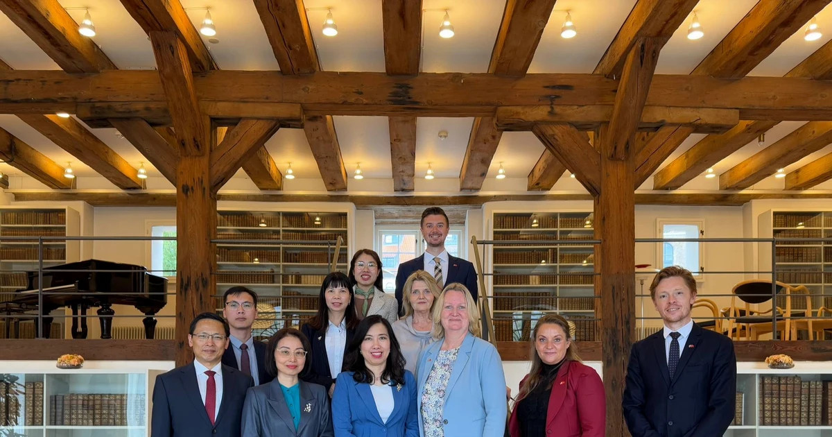 VN, Denmark agree to deploy comprehensive partnership, green partnership