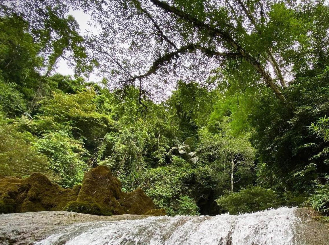 phong nha ke bang park.jpg