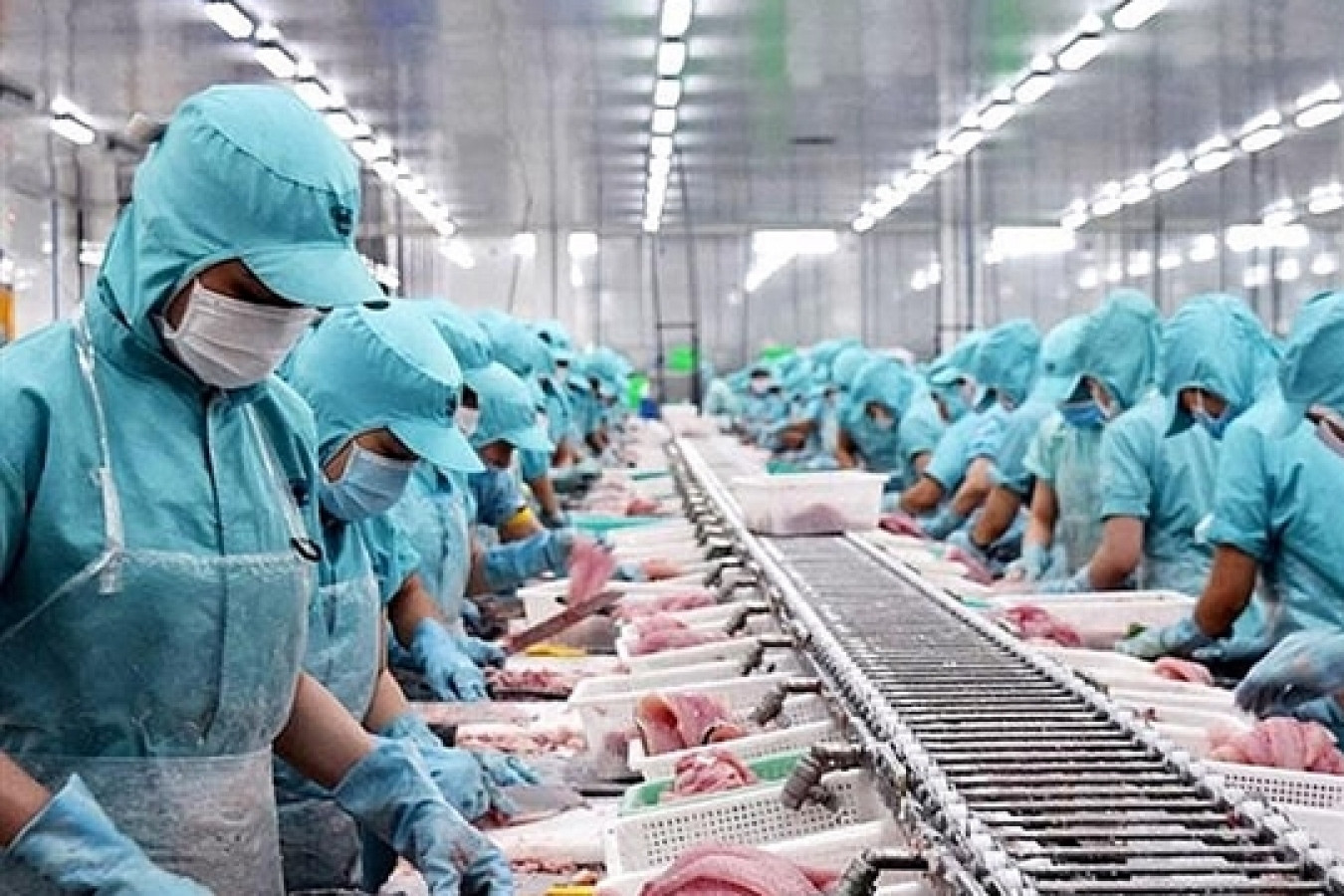 Vietnam’s pangasius industry eyes high-value transformation