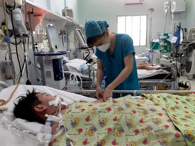 HCM City reports six dengue deaths, raises outbreak alert
