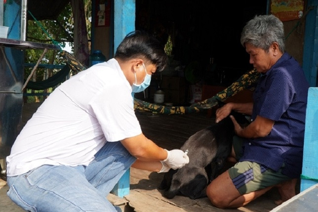 Sixth suspected rabies death reported in Dak Lak province