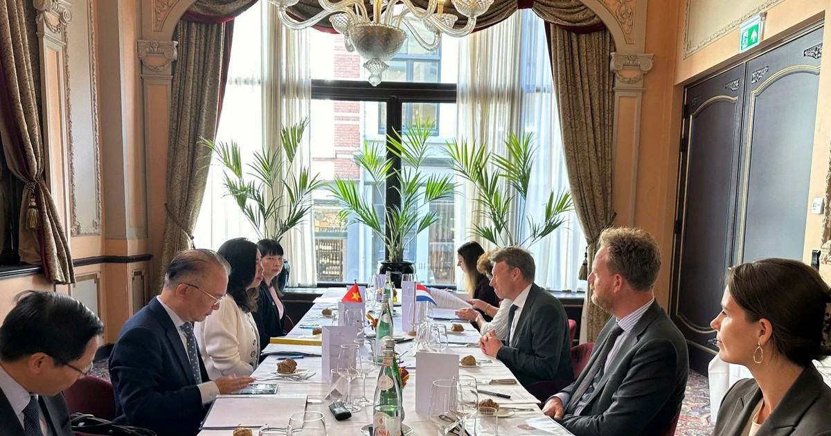 Vietnam, Netherlands hold first deputy-ministerial political consultation