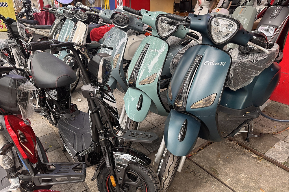 Vietnamese brands ride high as Chinese e-bikes struggle to gain traction