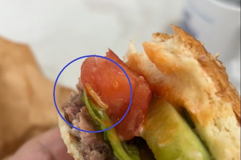 Maggots found in Da Nang hamburger horrify local customer
