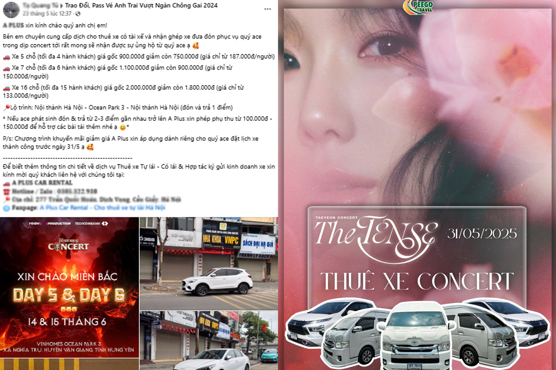 Ride-hailing services for concert-going youth are booming