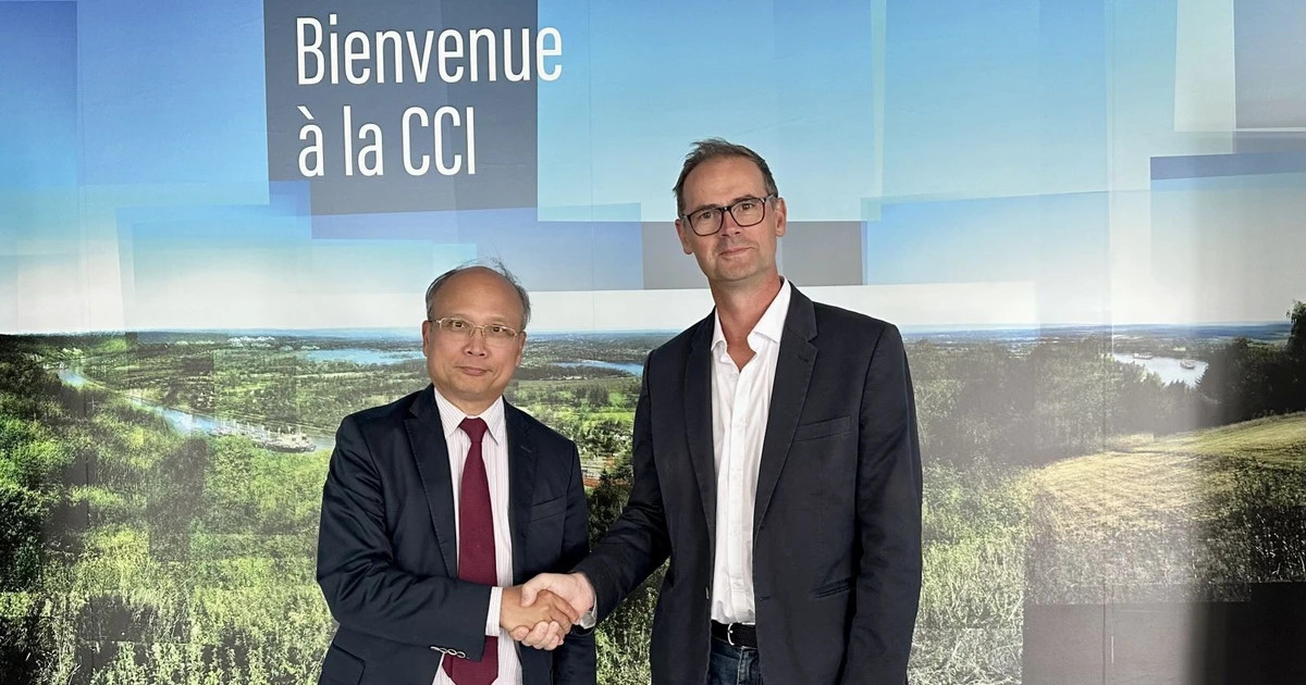 Vietnam fosters comprehensive cooperation with France's Normandy region