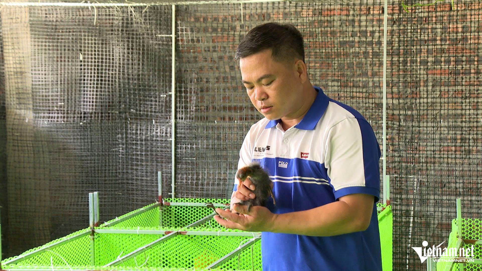 W-sâm cầm_4.JPG.jpg