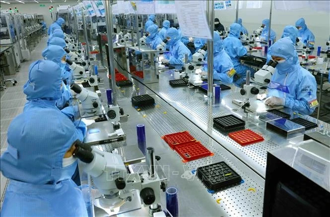 Vietnam enjoys robust recovery amidst global challenges