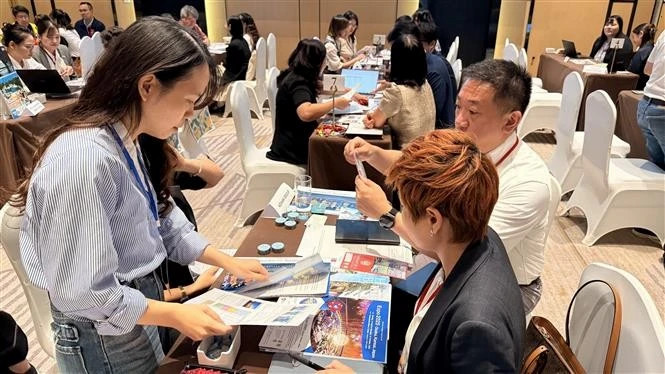 Vietnam, Japan explore untapped tourism potential