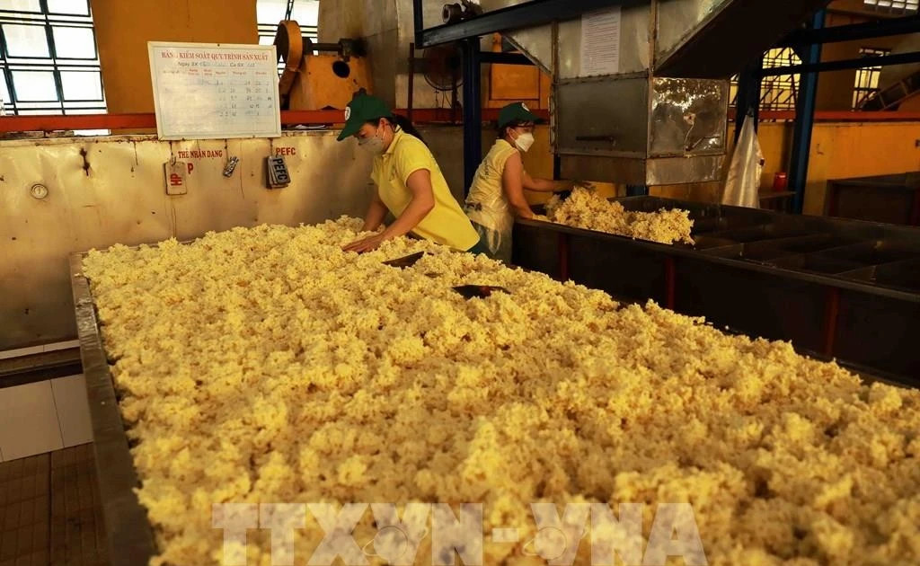 Vietnam targets 3.3 billion USD in rubber exports this year