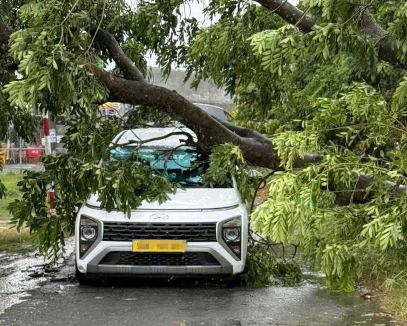 z6822972297175_8497283c824185b65a947c4de6857d44 (1).jpg