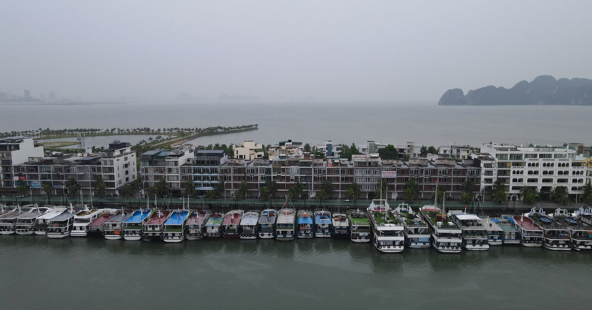 Storm Wipha freezes Ha Long Bay operations