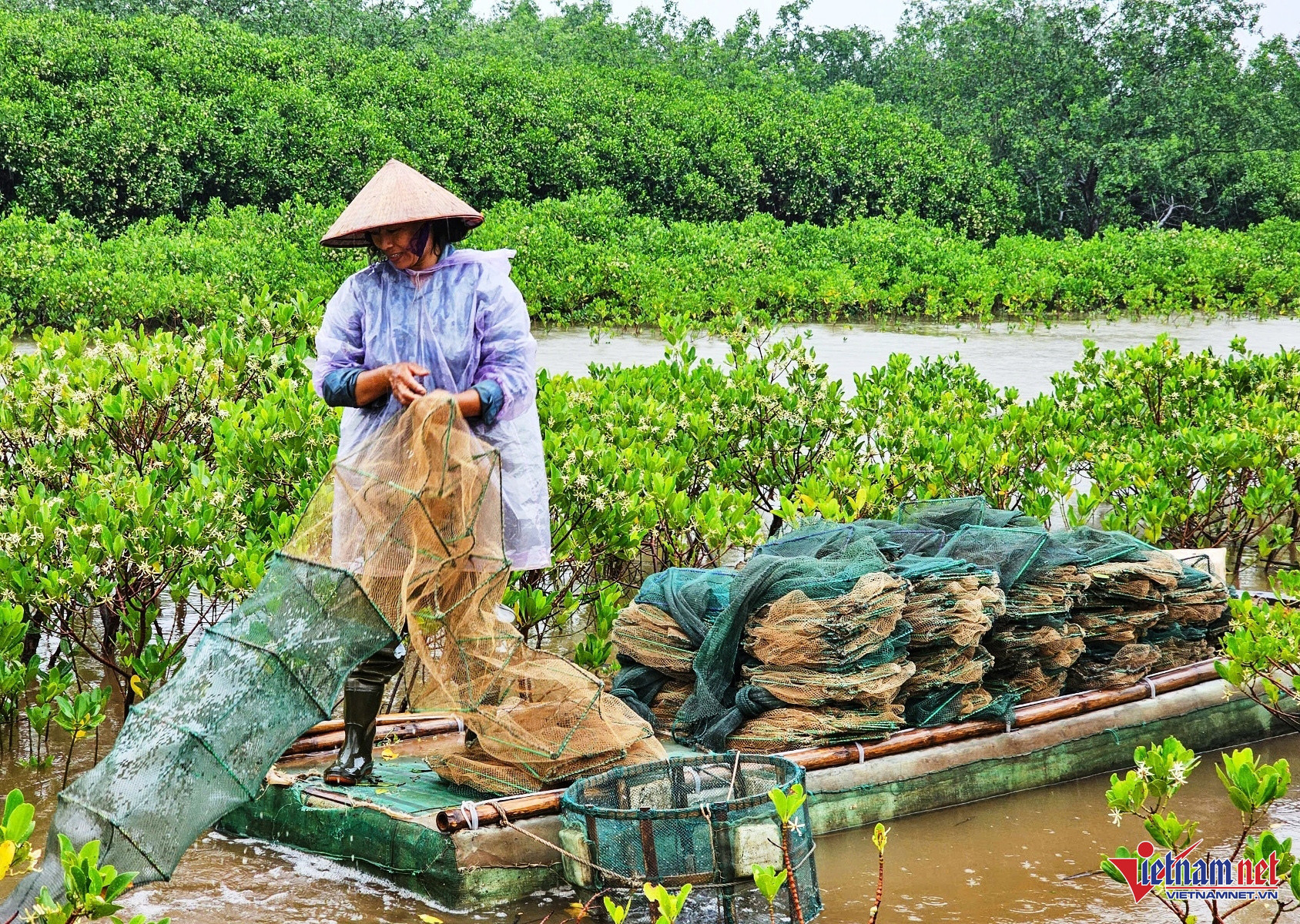 w kim dong 9 3482.jpg