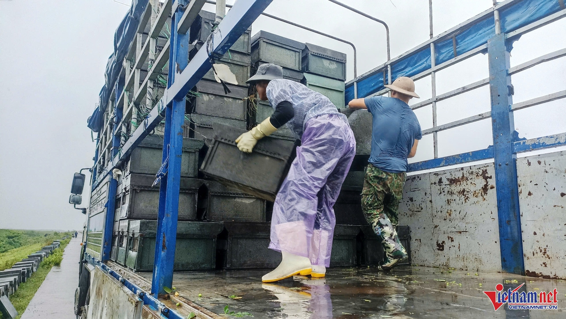 w kim dong 5 3479.jpg