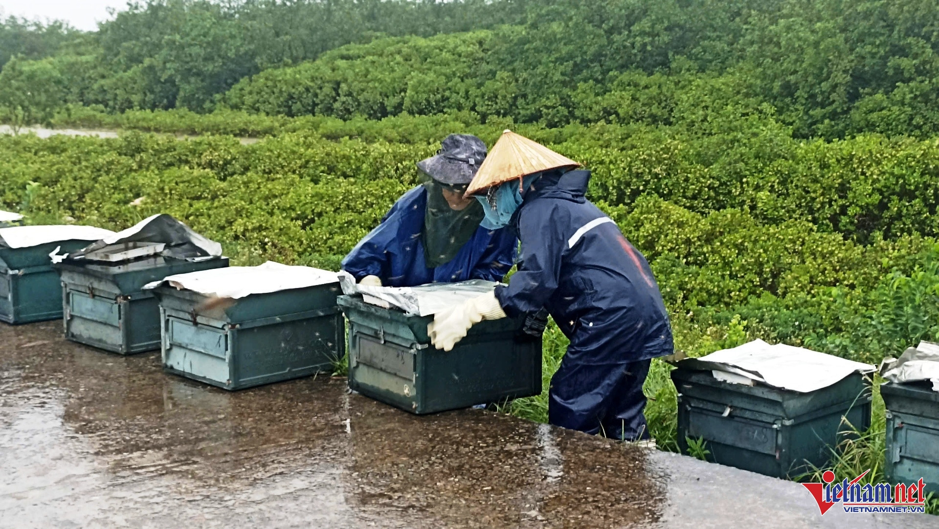 w kim dong 6 3481.jpg