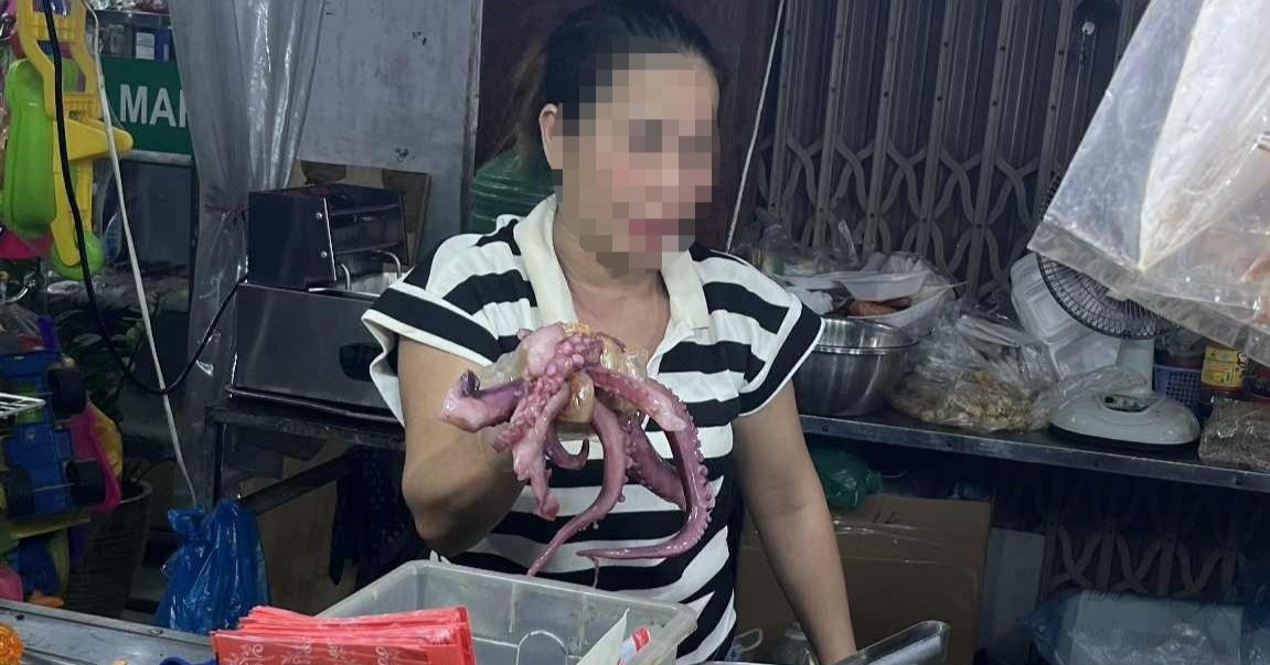 Da Nang: Vendor fined after overcharging Lao tourists for grilled skewers