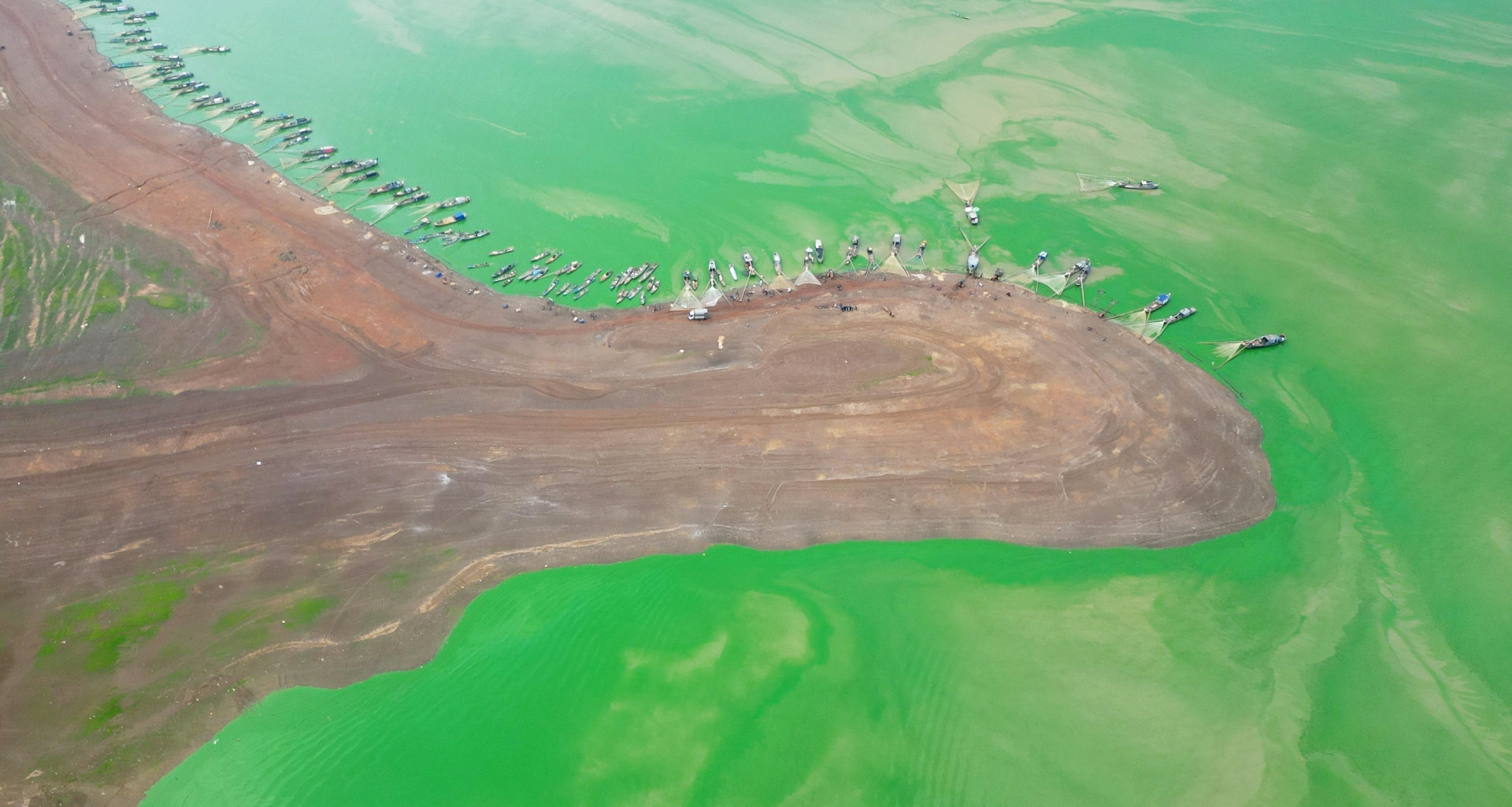 Emerald algae ribbon transforms Tri An Lake into a natural wonder