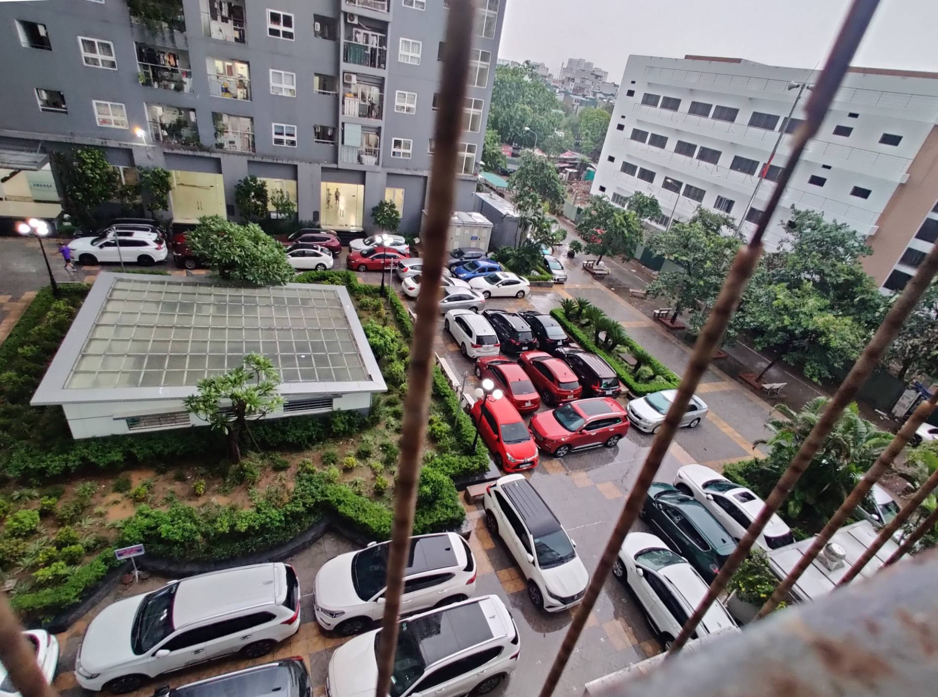 Xe de tren san   Nguyen Thuỷ.jpg