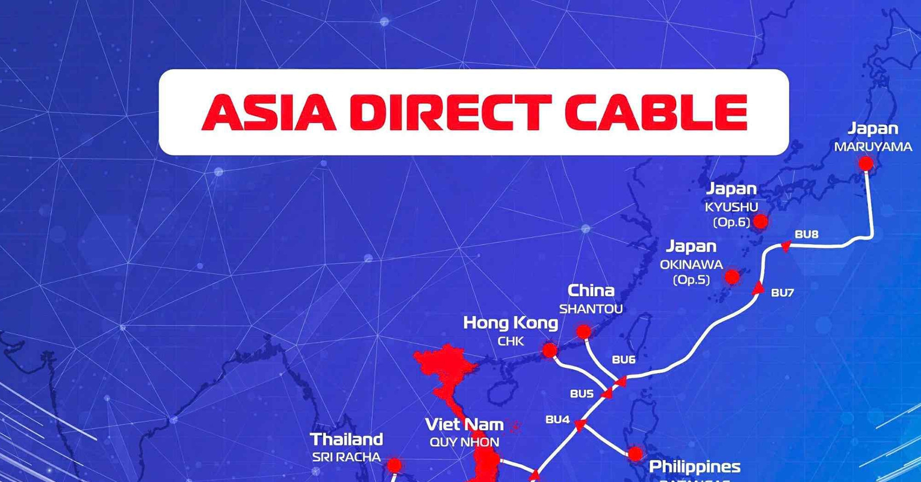Vietnam achieves milestone with undersea cables led by local firms