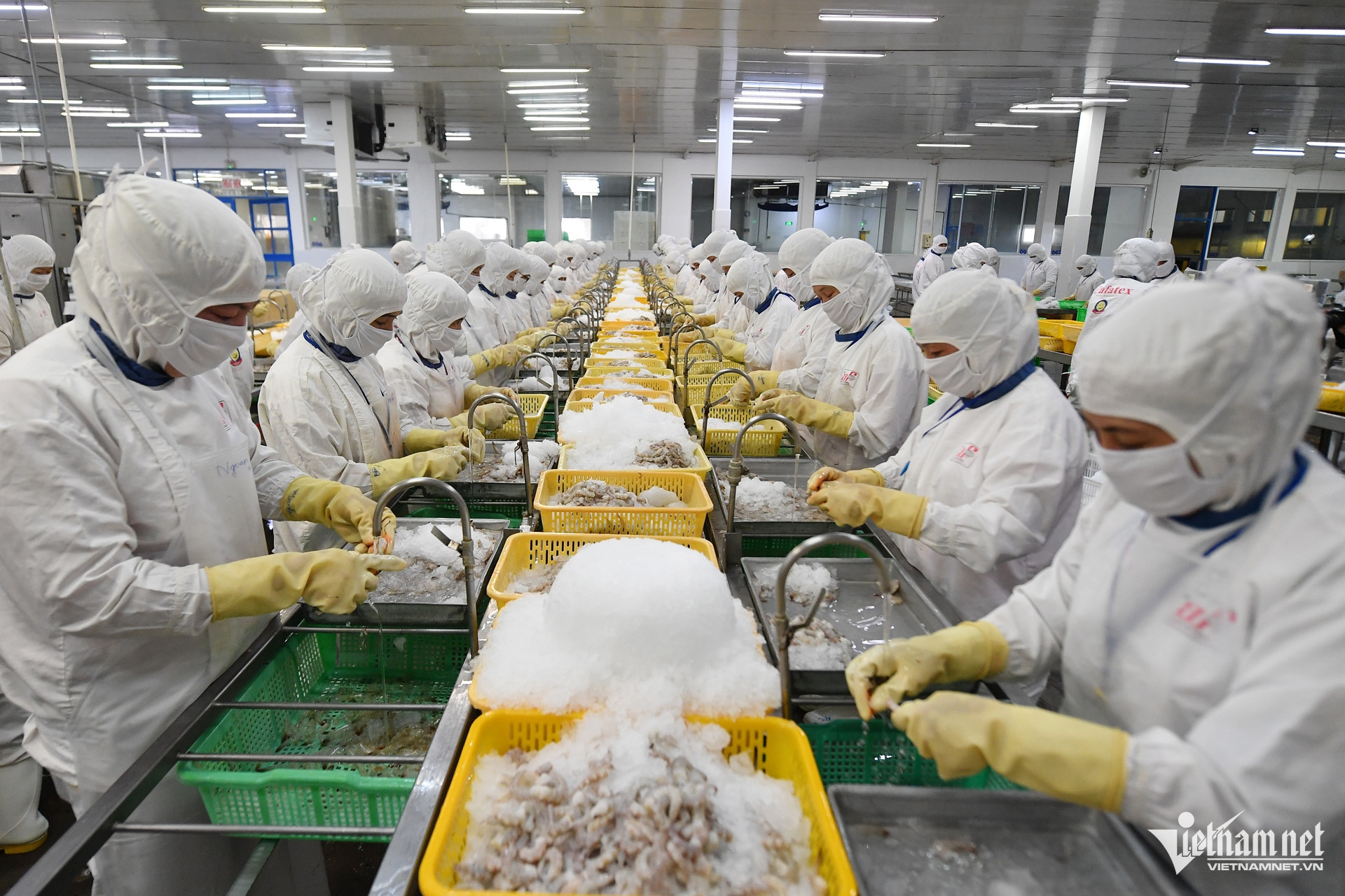 seafood vn.jpg
