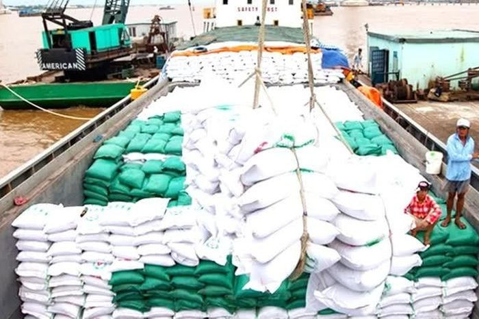 Vietnam revises rice export laws to boost transparency and farmer income